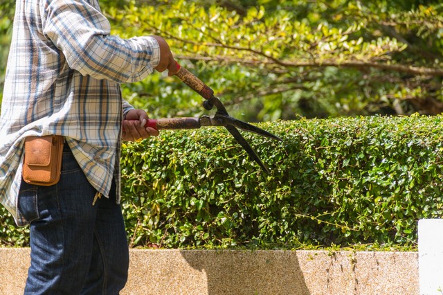 Garden Maintenance Redbridge, IG4